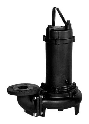 Ebara 80DL52.2