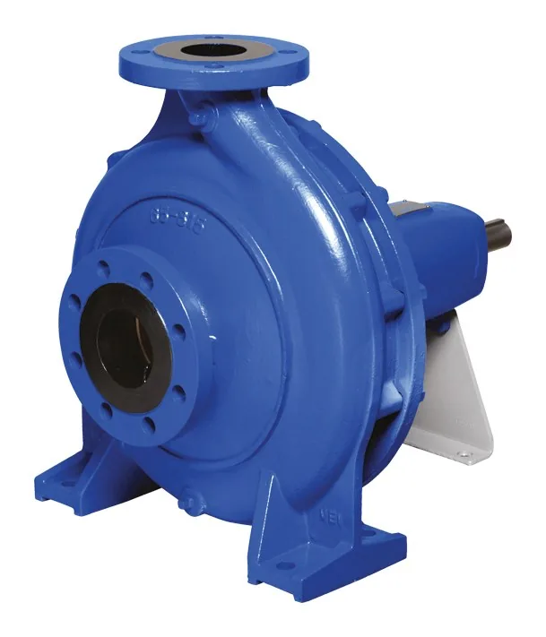 Ebara Iran GS 100-315 Ø312 22 kW 4-pole